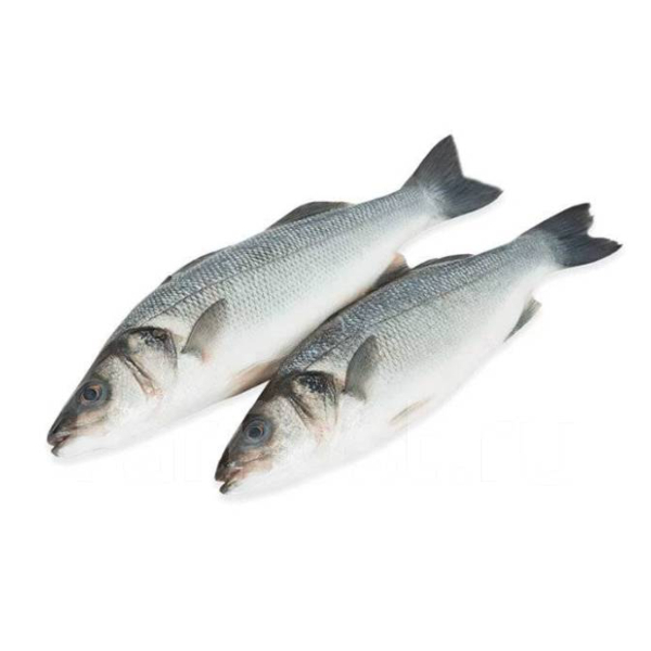 Фото Сибас н/р 1кг