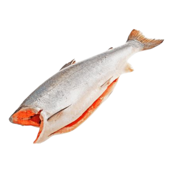 Фото Кижуч ПБГ 4,1+ (9+) (Чили) кг