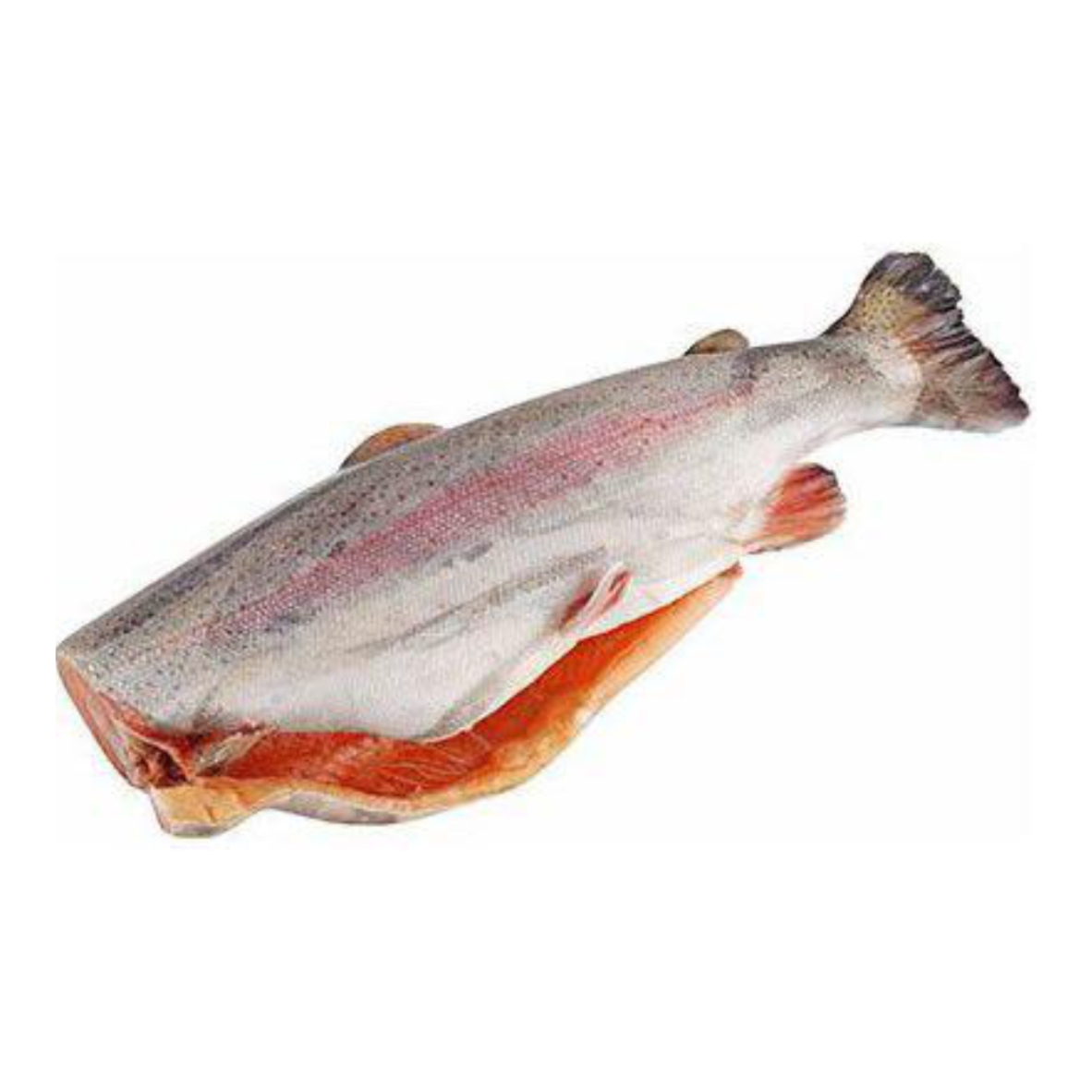 Фото Форель б/г (2,7-3,6) 1 кг