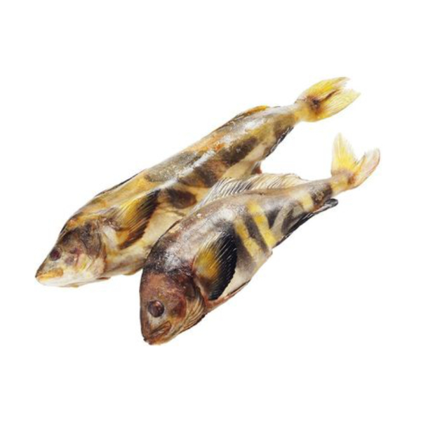 Фото Терпуг кг