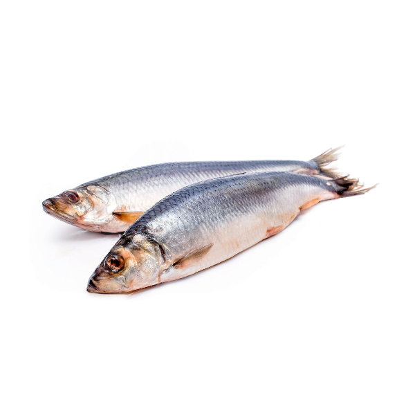 Фото Сельдь с/с (крупная) кг