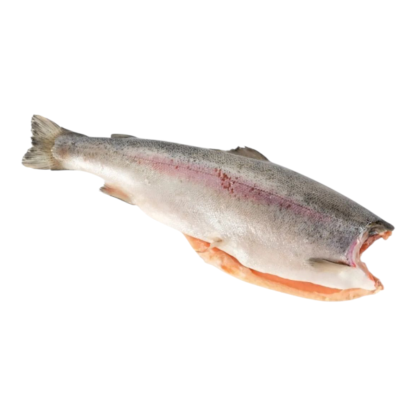 Фото Форель ПБГ 4,0+ (9+) Премиум (Китай)