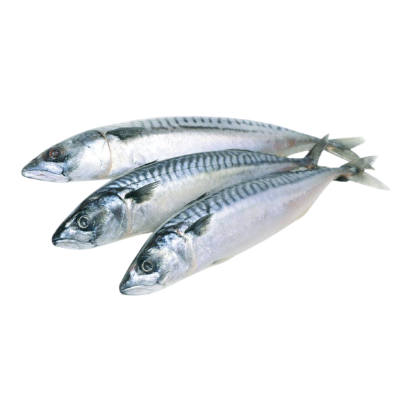 Фото Скумбрия 300-600 (Россия) 