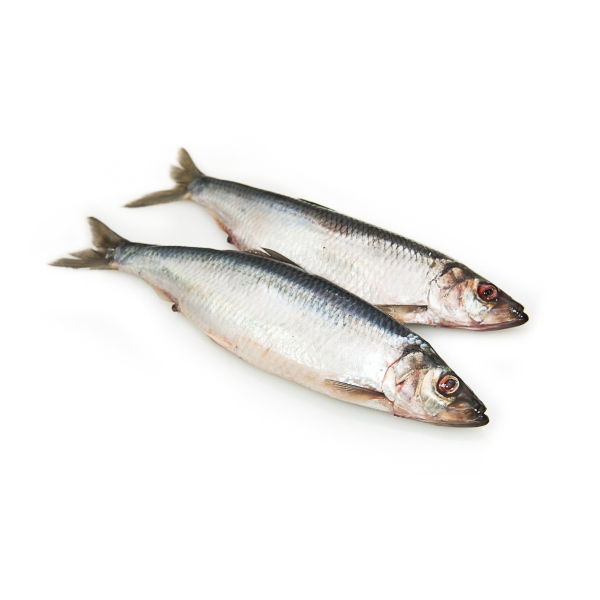 Фото Сельдь т/о  с/м кг